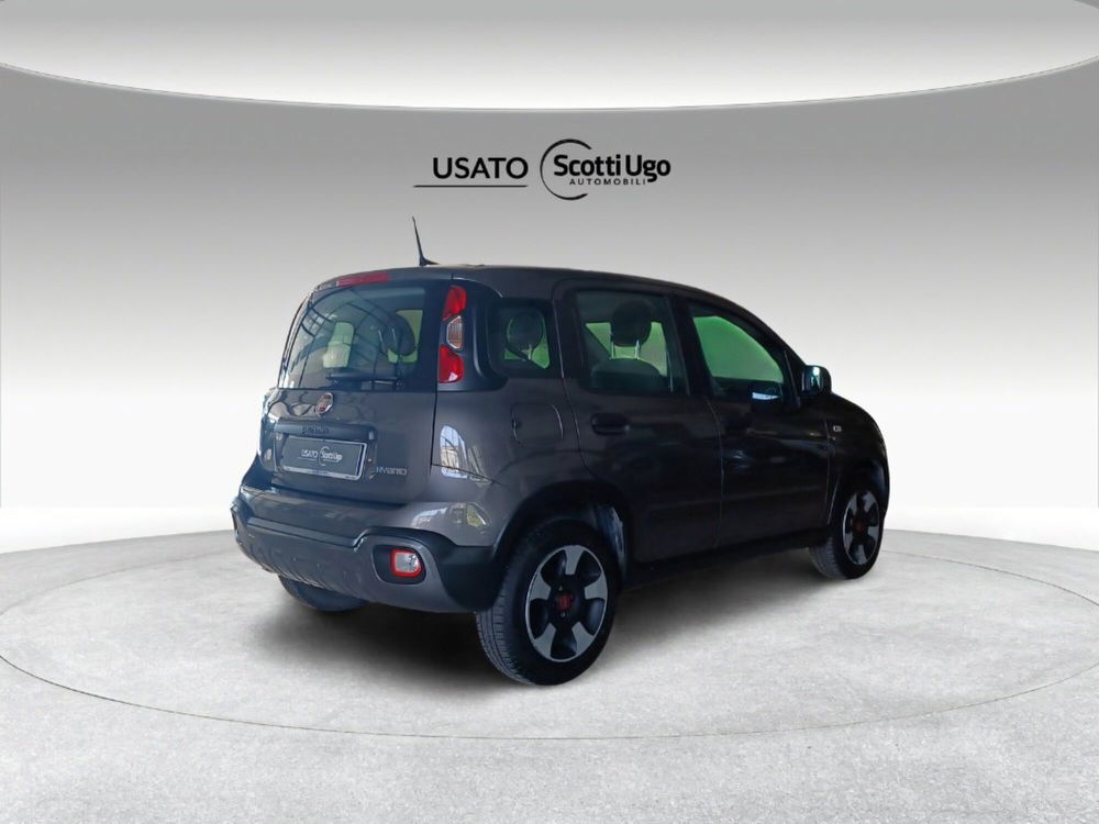 Fiat Panda Cross usata a Firenze (8)