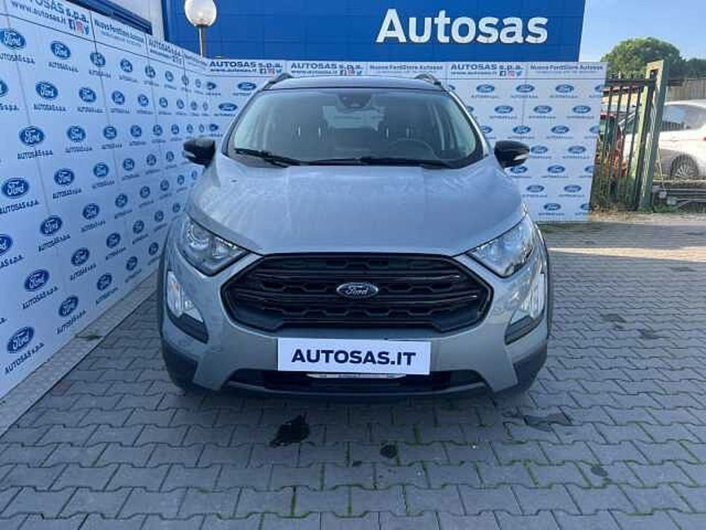 Ford EcoSport usata a Firenze (4)