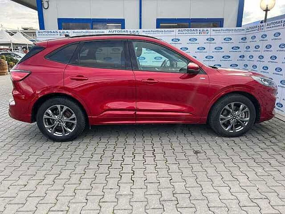 Ford Kuga usata a Firenze (12)