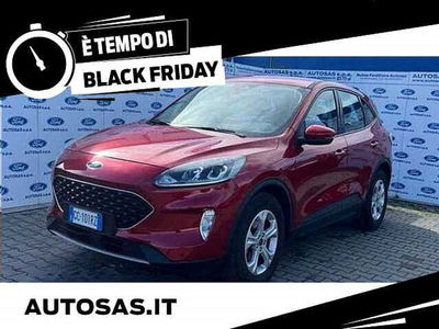 Ford Kuga 1.5 EcoBlue 120 CV 2WD ST-Line  del 2020 usata a Firenze