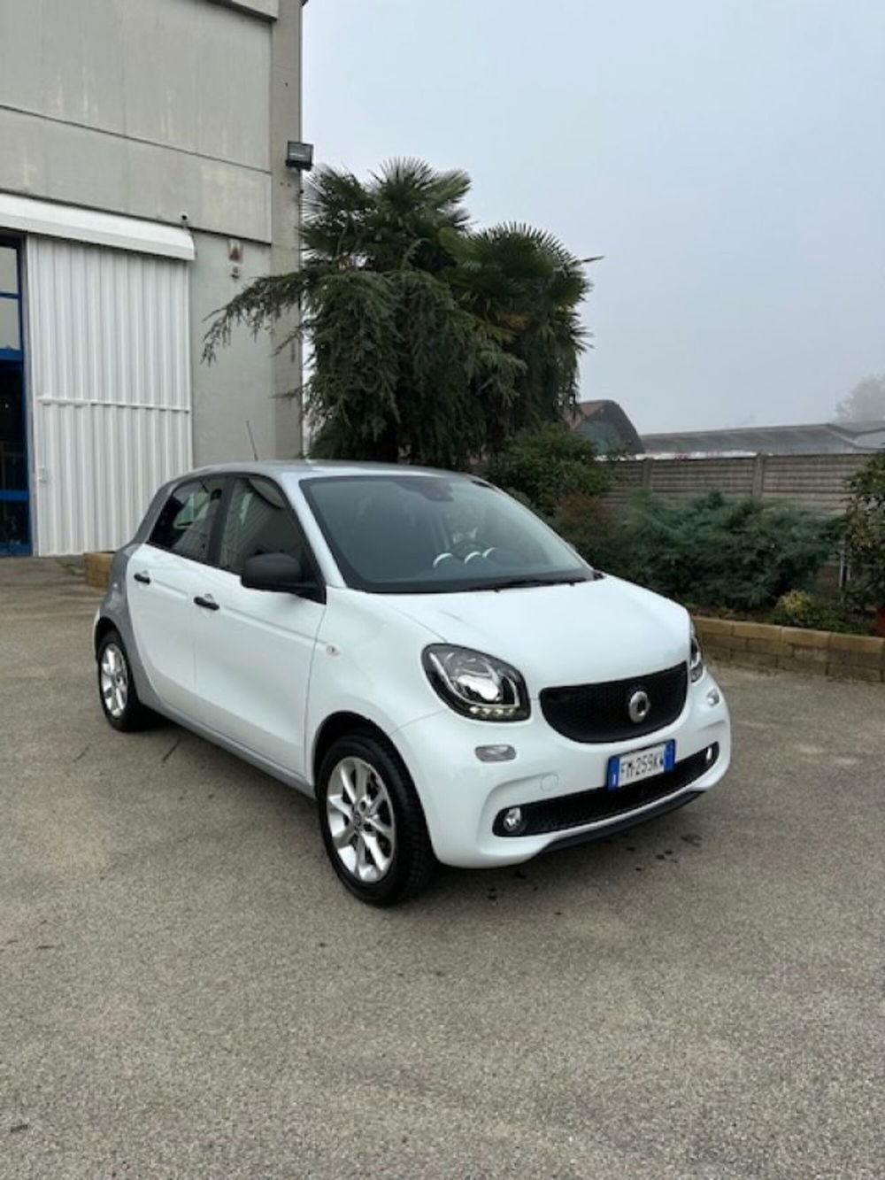 smart forfour usata a Novara