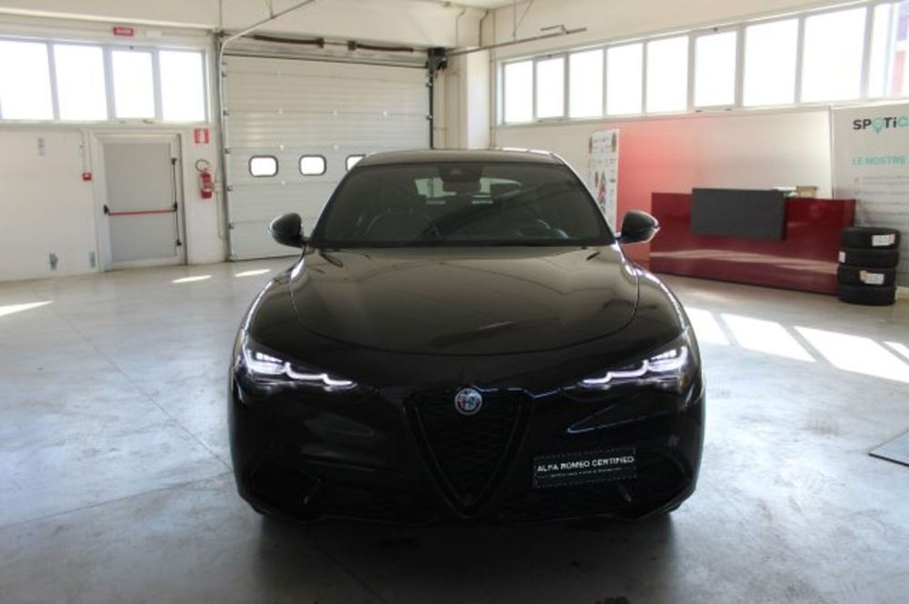 Alfa Romeo Stelvio usata a Terni (2)