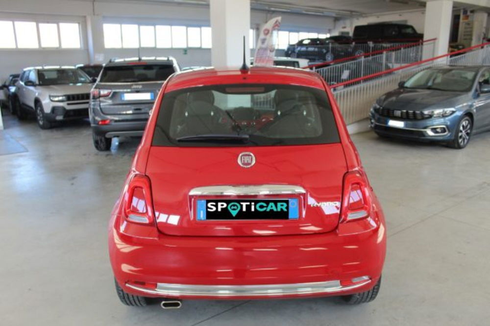 Fiat 500 usata a Terni (5)