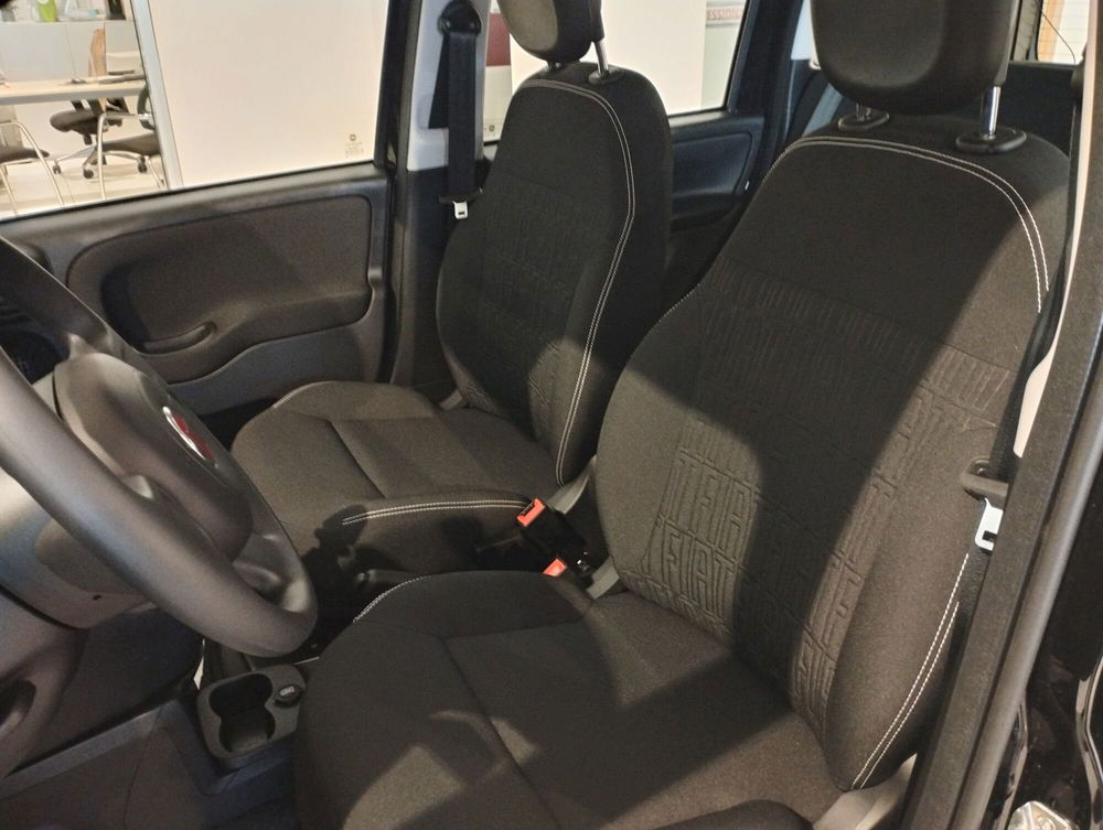 Fiat Panda Cross usata a Frosinone (10)