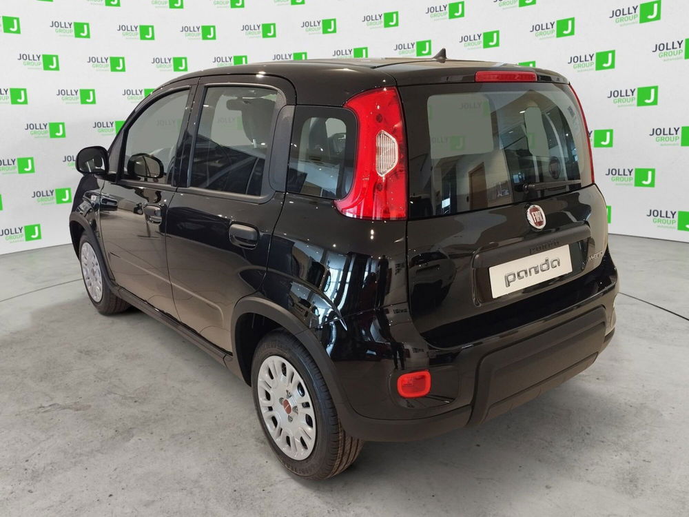 Fiat Panda Cross usata a Frosinone (4)