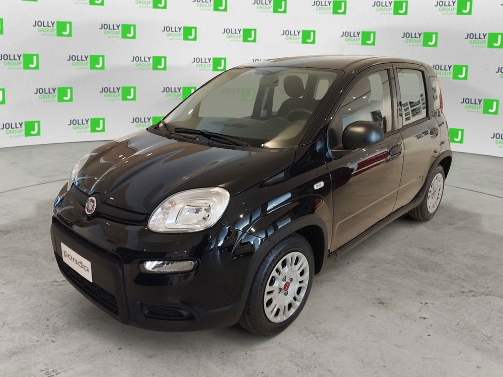 Fiat Panda Cross usata a Frosinone (2)