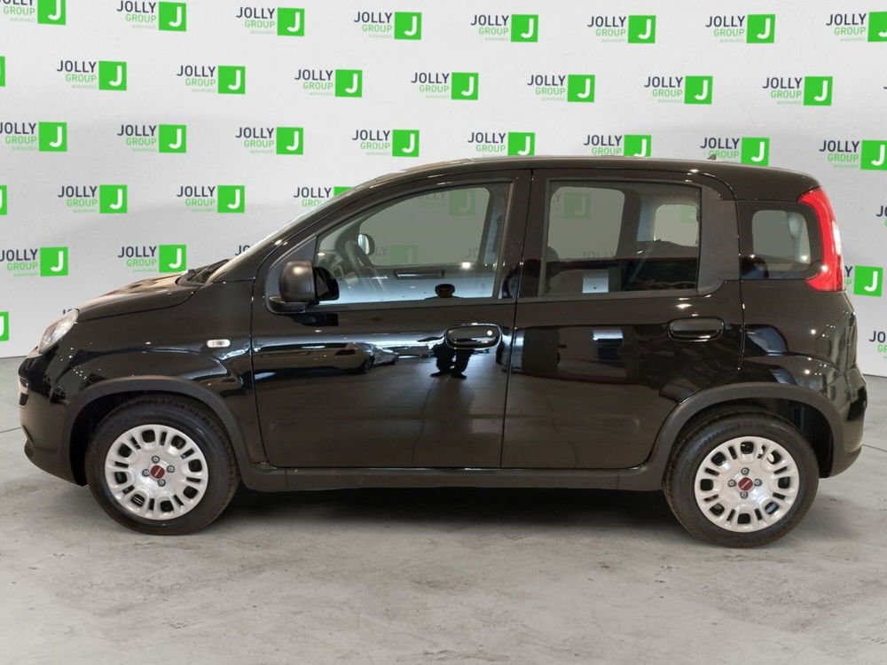 Fiat Panda Cross usata a Frosinone (3)