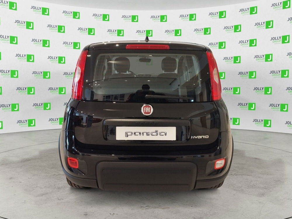 Fiat Panda Cross usata a Frosinone (5)