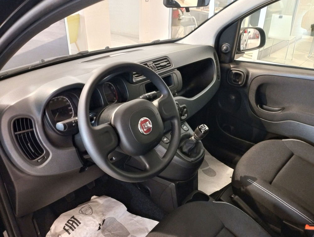 Fiat Panda Cross usata a Frosinone (9)