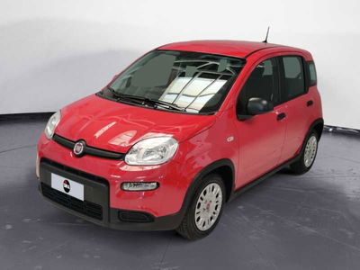 Fiat Panda 1.0 firefly hybrid s&amp;s 70cv 5p.ti nuova a Portogruaro