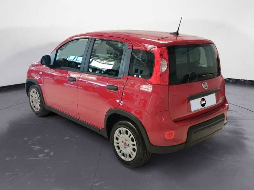 Fiat Panda nuova a Venezia (3)