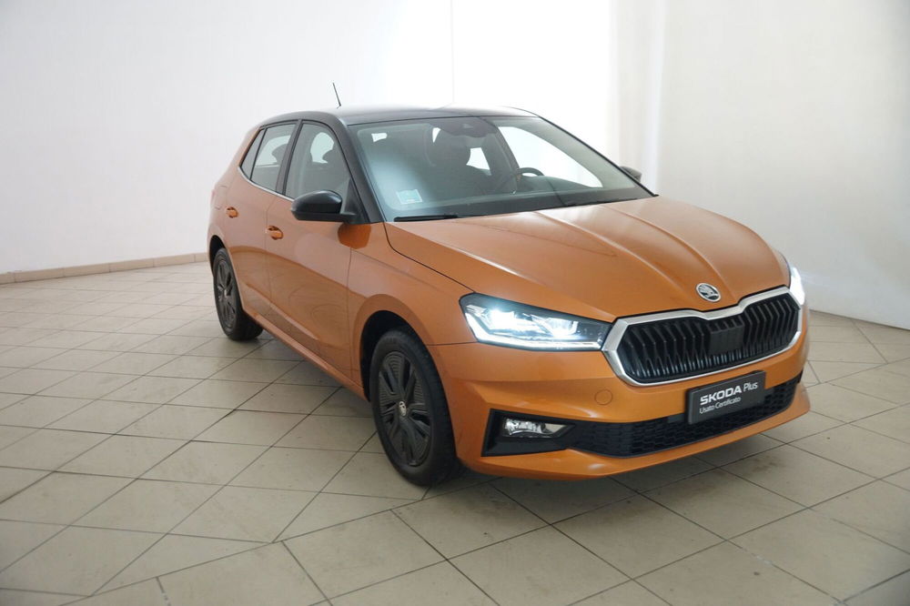 Skoda Fabia usata a Torino (20)