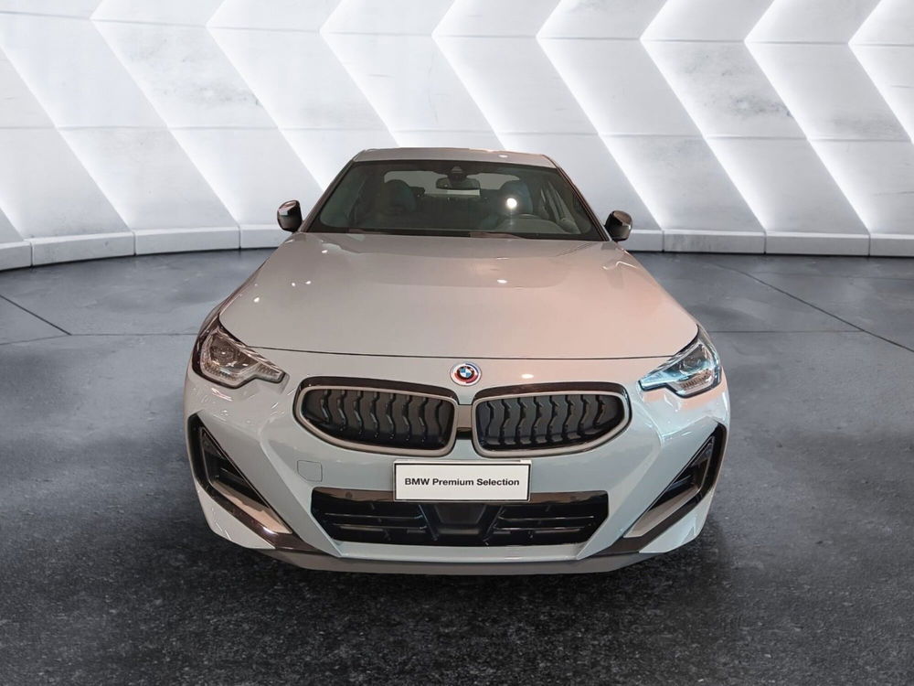 BMW Serie 2 Coupé usata a Asti (8)