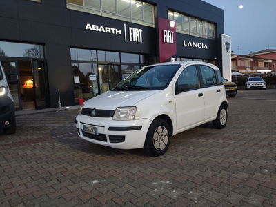 Fiat Panda 1.1 Active  del 2006 usata a Terranuova Bracciolini