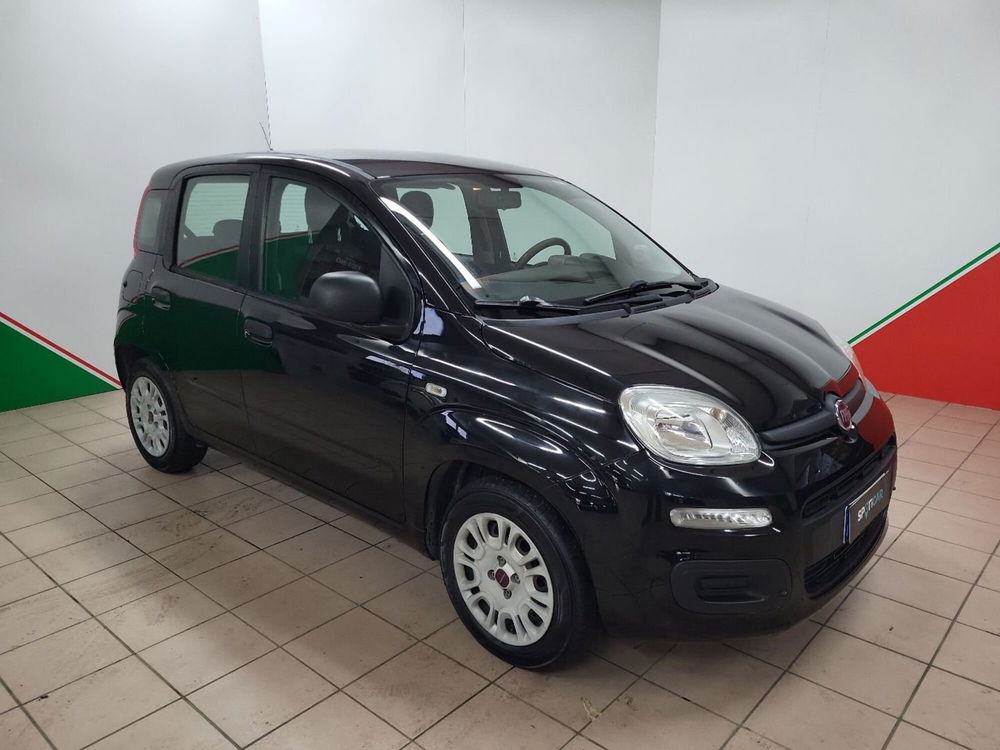 Fiat Panda usata a Arezzo (2)