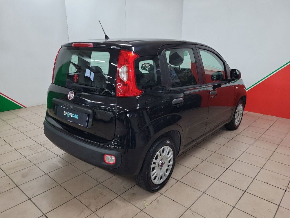 Fiat Panda usata a Arezzo (4)