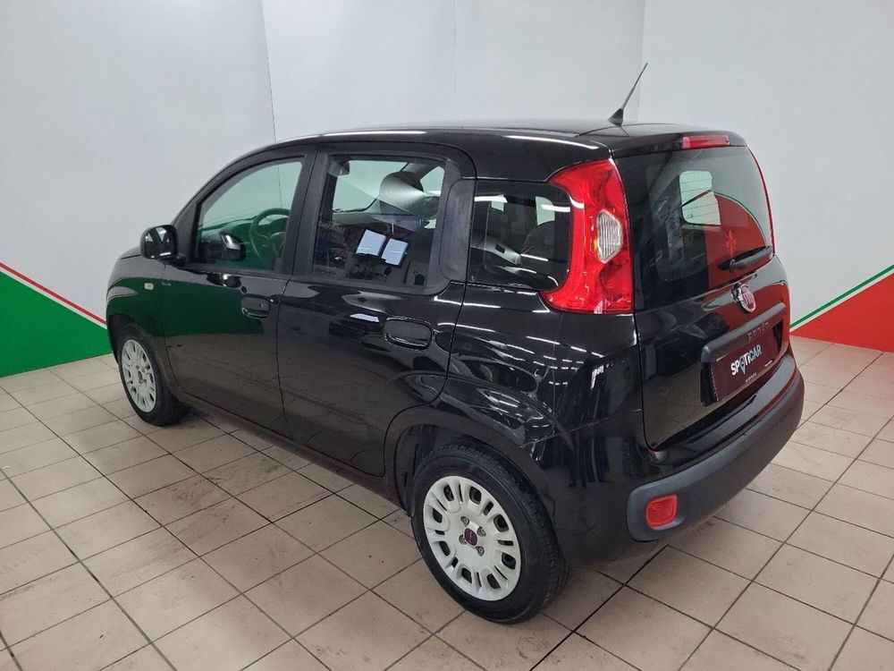 Fiat Panda usata a Arezzo (5)