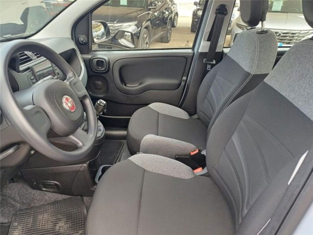 Fiat Panda usata a Bari (11)