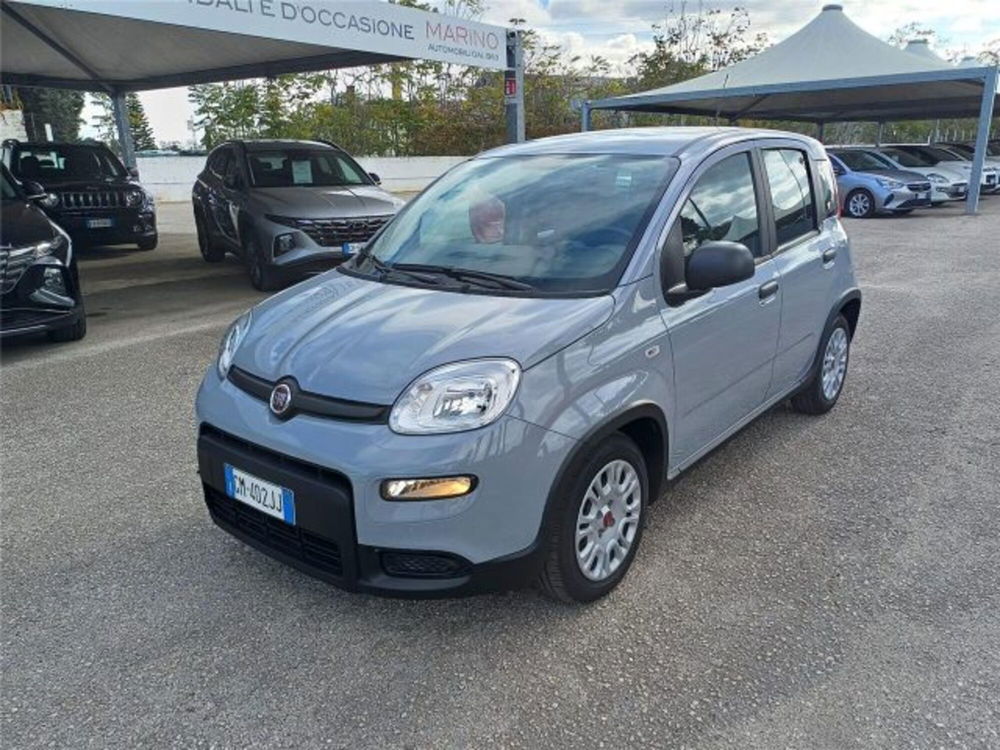 Fiat Panda usata a Bari (3)