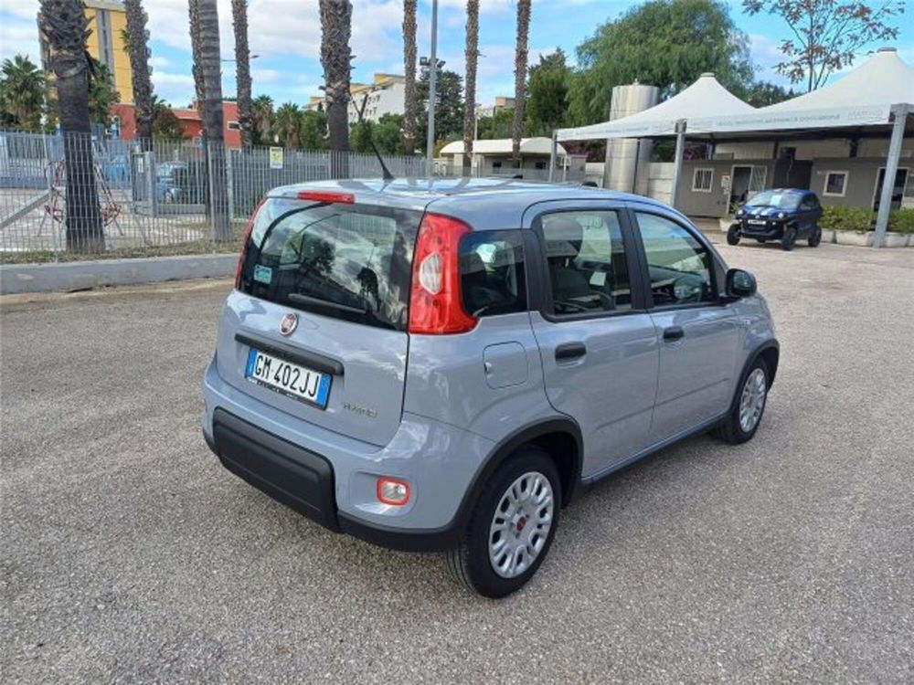 Fiat Panda usata a Bari (6)