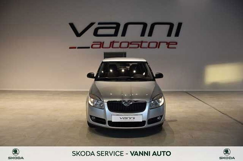 Skoda Fabia usata a Verona (2)