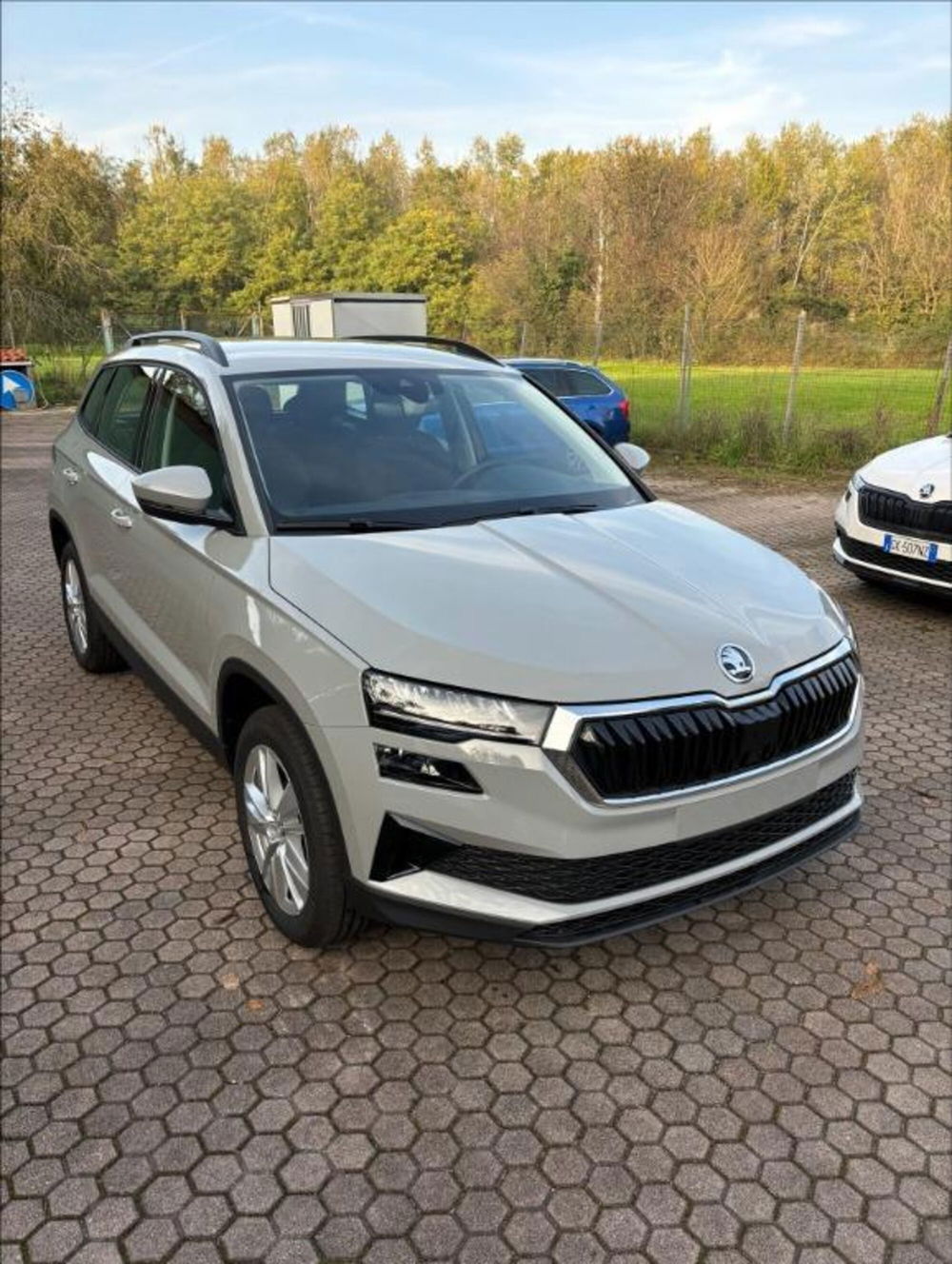 Skoda Karoq nuova a Monza e Brianza (6)