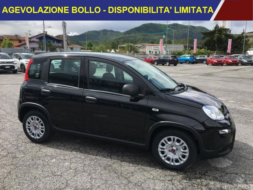 Fiat Panda Cross nuova a Cuneo (2)