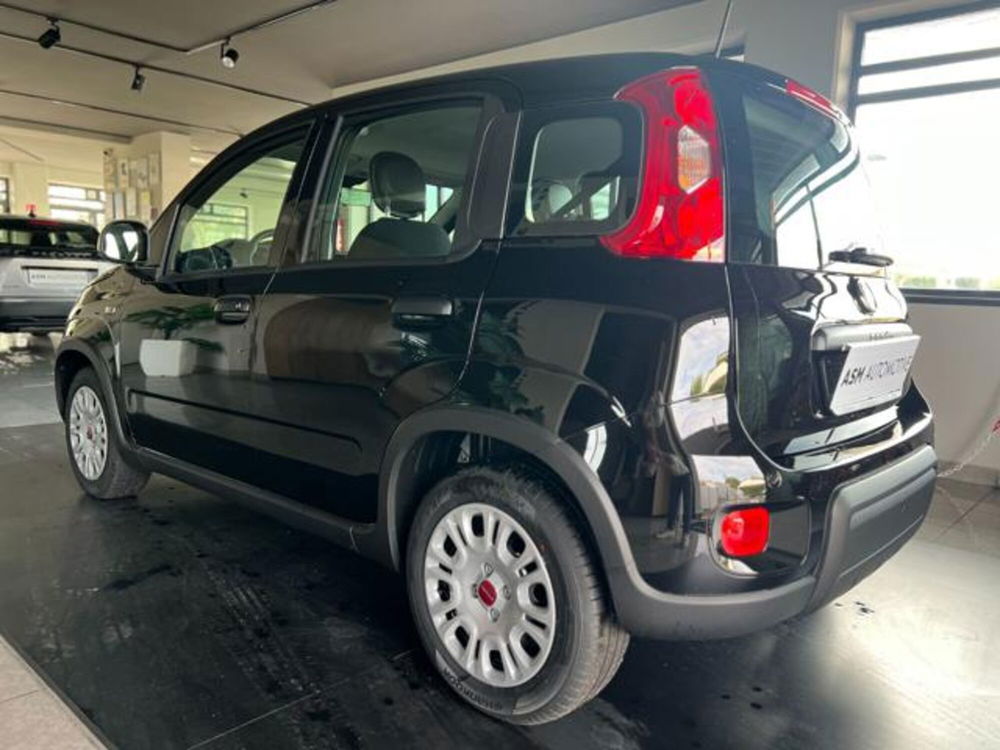 Fiat Panda nuova a Napoli (4)