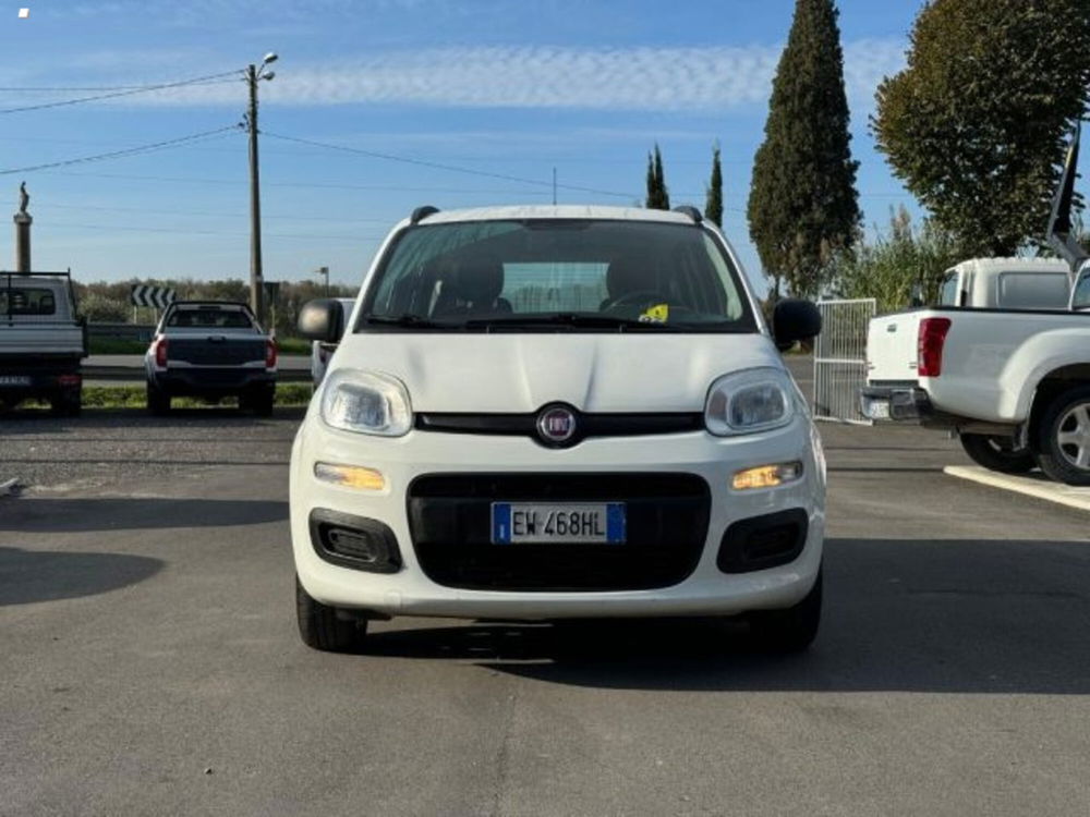 Fiat Panda usata a Lucca (2)