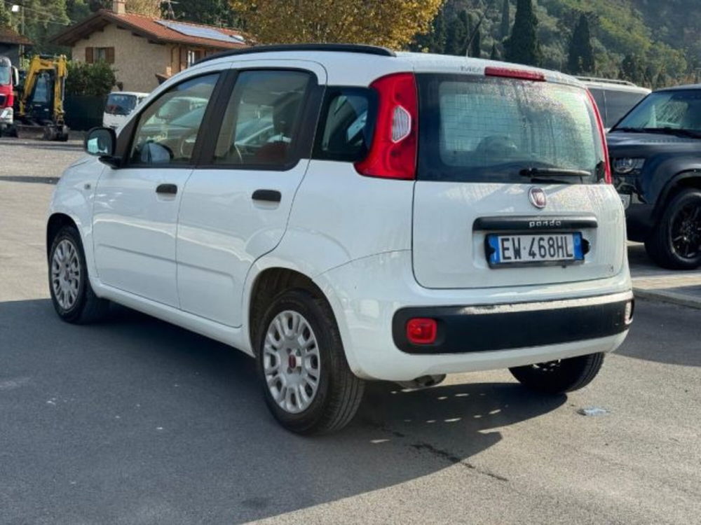 Fiat Panda usata a Lucca (6)