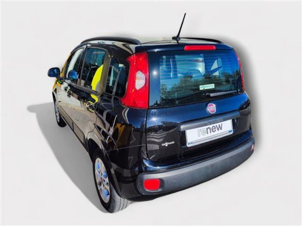 Fiat Panda usata a Livorno (3)