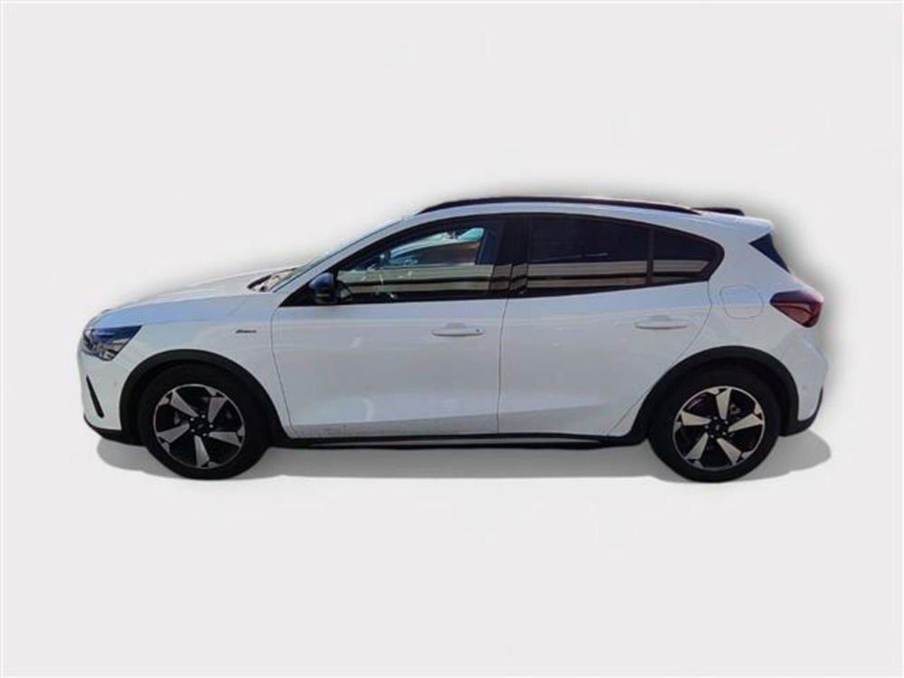 Ford Focus usata a Livorno (2)