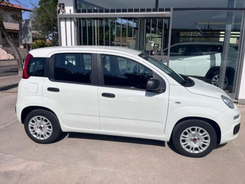 Fiat Panda usata a Oristano (8)