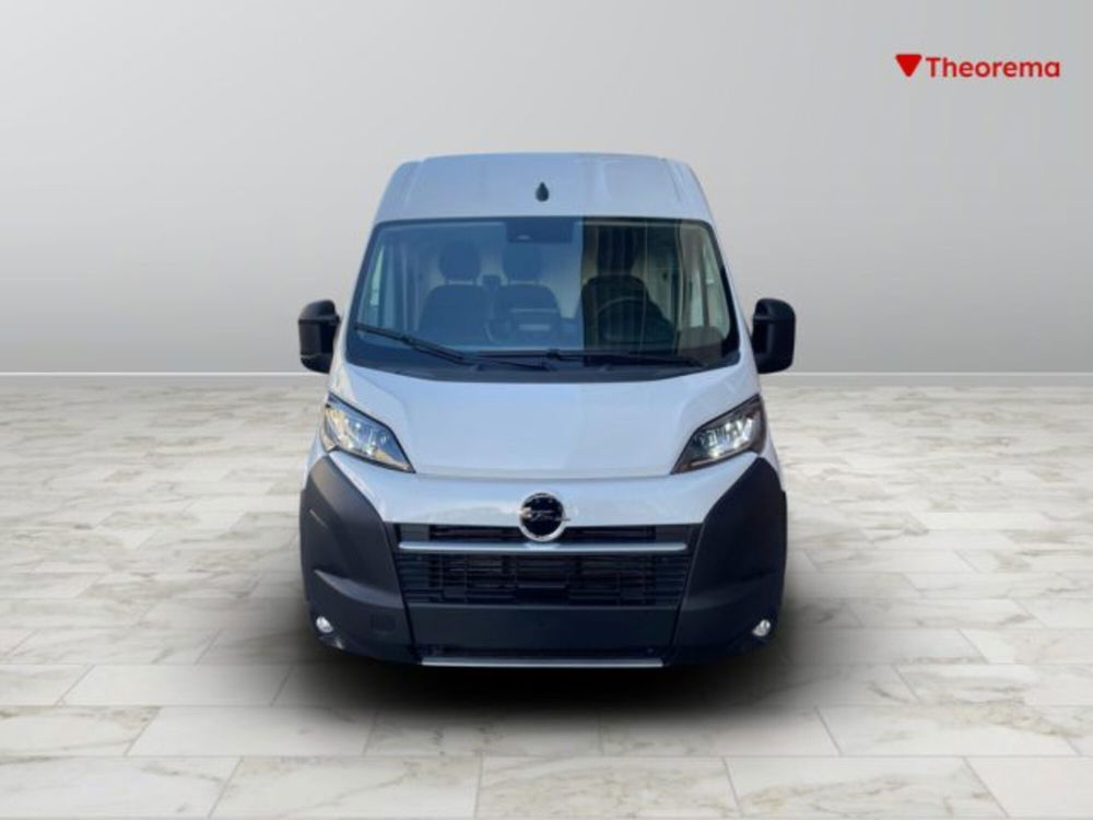 Opel Movano Telaio nuova a Torino (8)