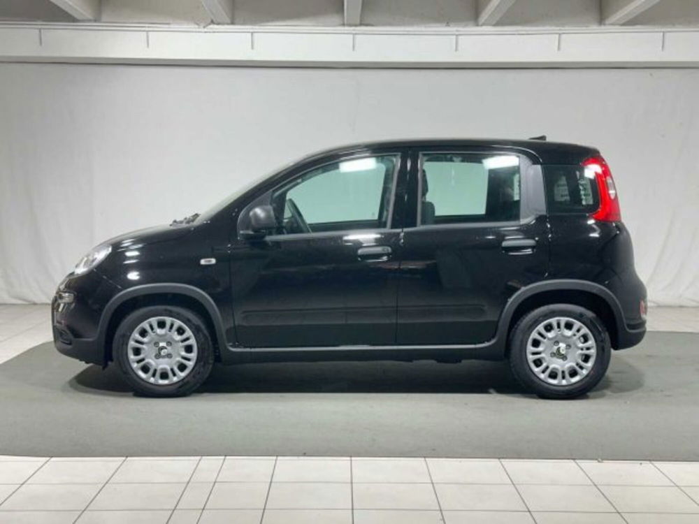 Fiat Panda nuova a Sondrio (2)