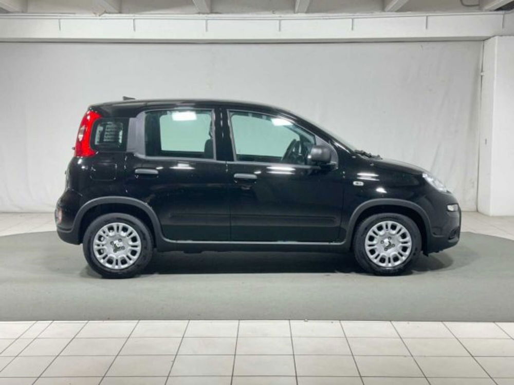 Fiat Panda nuova a Sondrio (6)