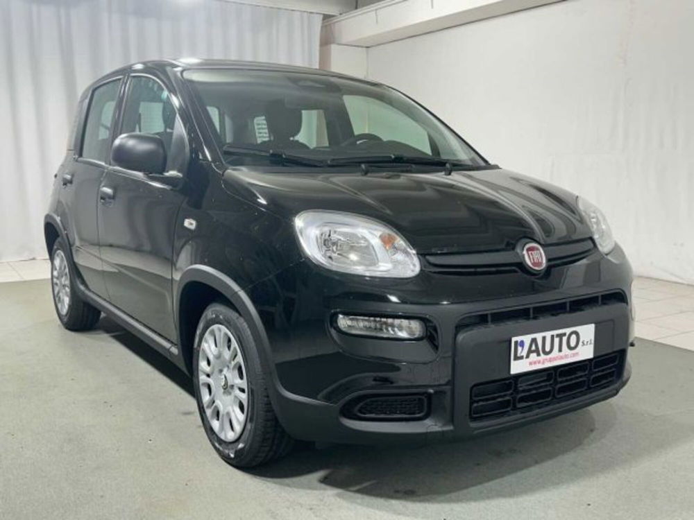 Fiat Panda nuova a Sondrio (7)