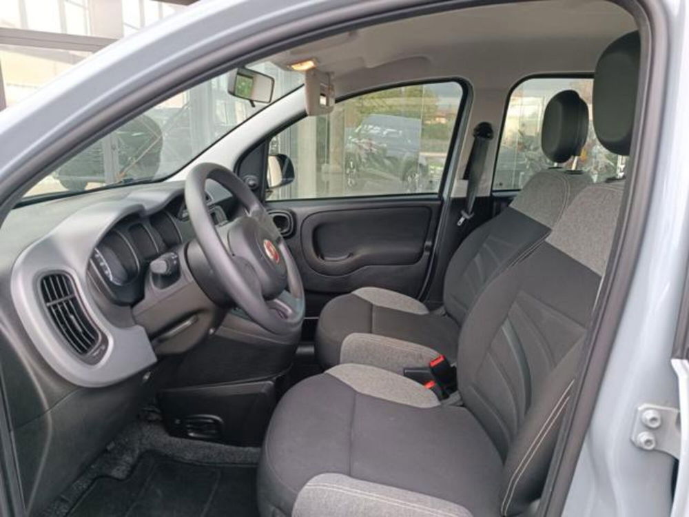 Fiat Panda usata a Pisa (11)