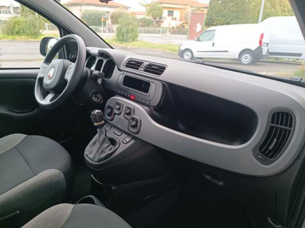 Fiat Panda usata a Pisa (16)