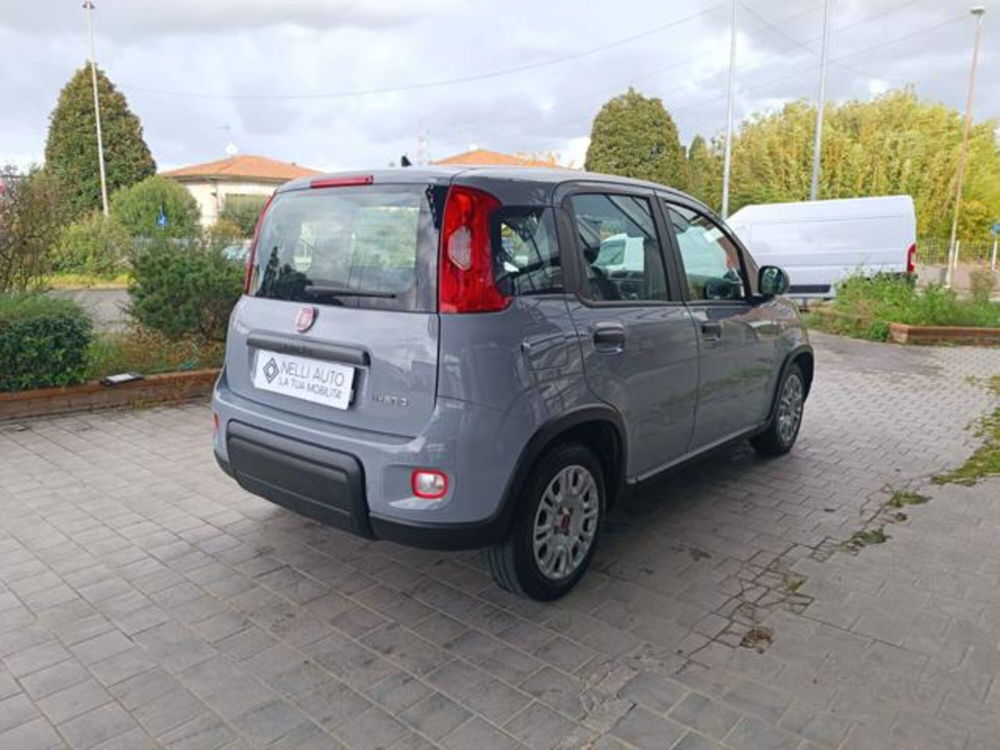 Fiat Panda usata a Pisa (18)