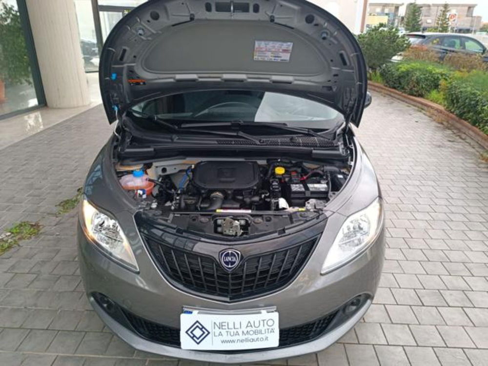 Lancia Ypsilon usata a Pisa (13)