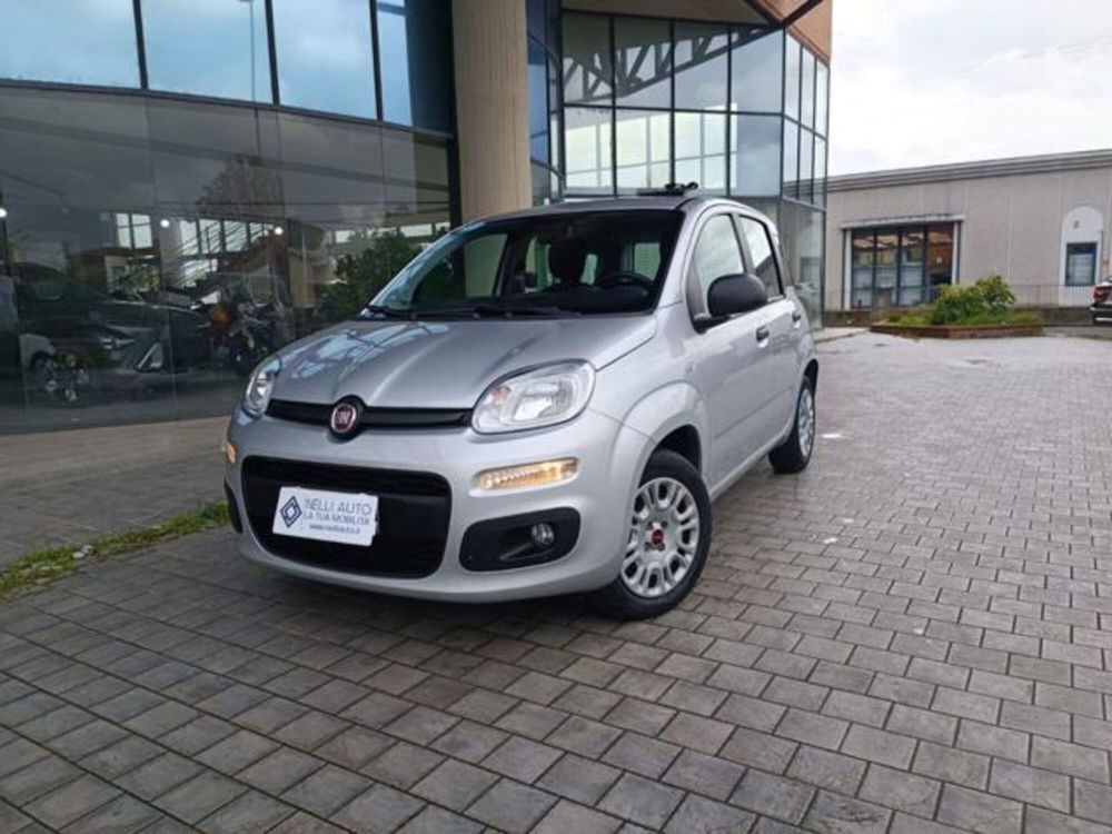 Fiat Panda usata a Pisa