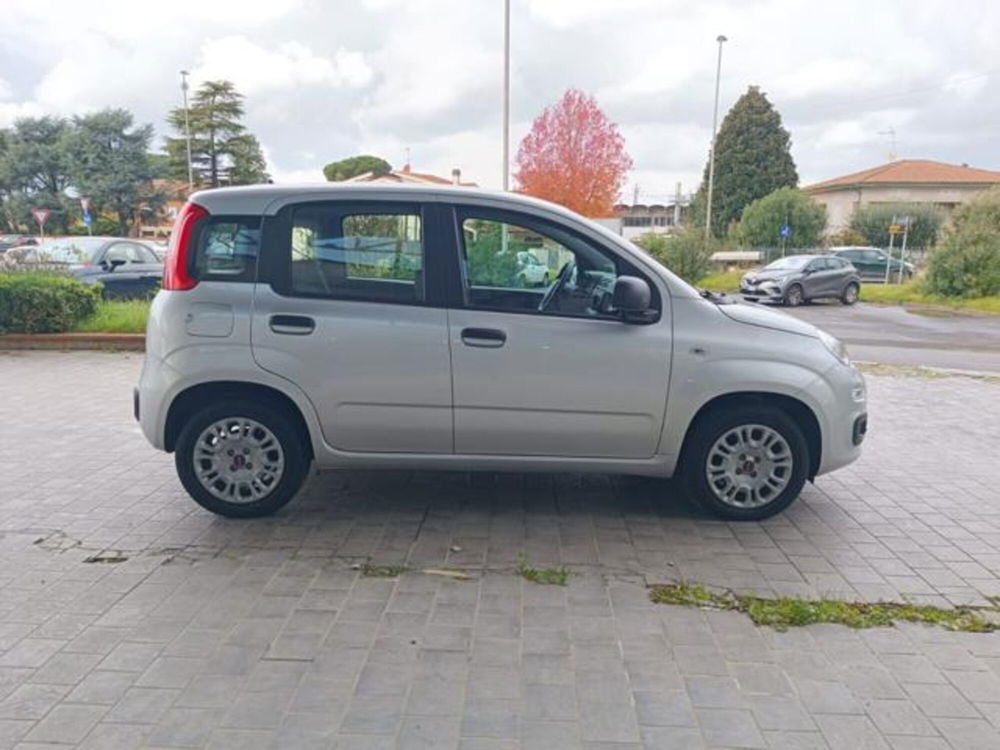 Fiat Panda usata a Pisa (10)