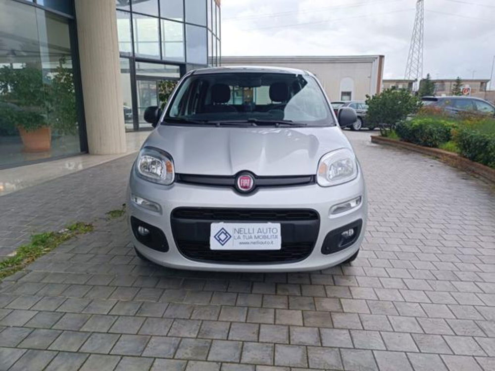 Fiat Panda usata a Pisa (11)