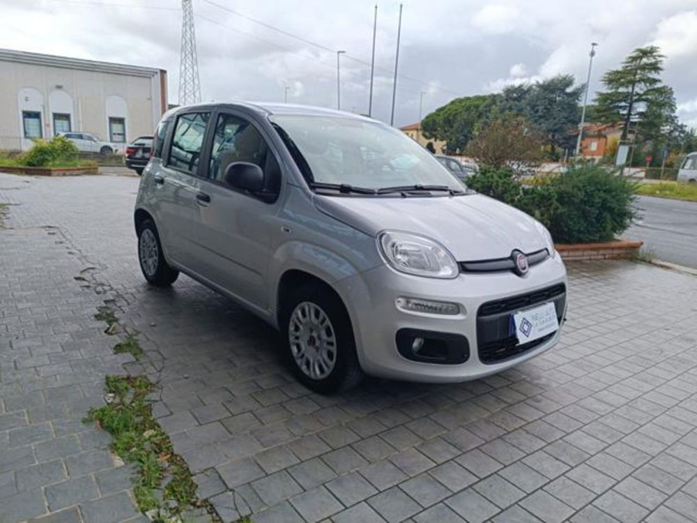 Fiat Panda usata a Pisa (12)