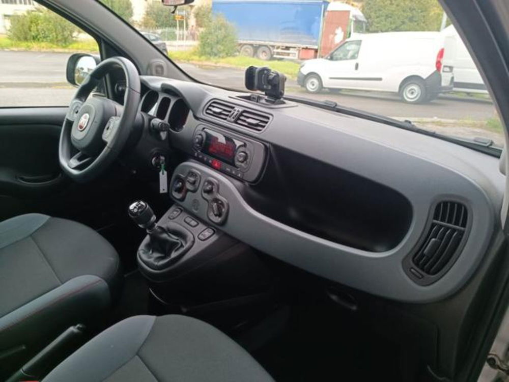 Fiat Panda usata a Pisa (18)