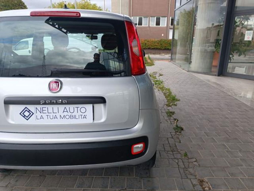 Fiat Panda usata a Pisa (5)