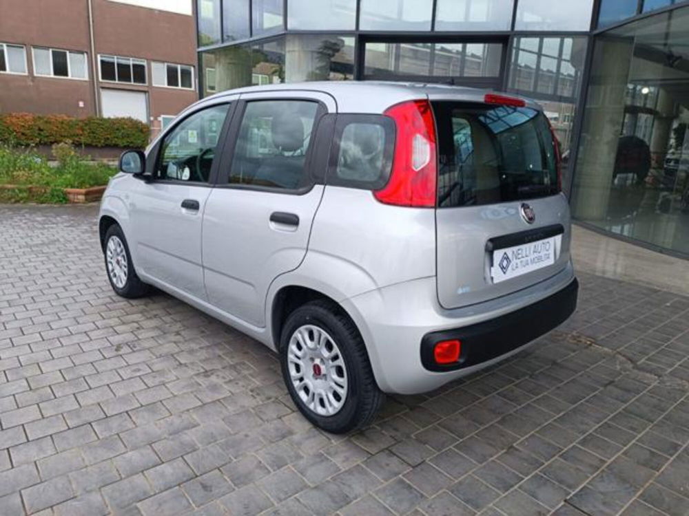 Fiat Panda usata a Pisa (6)