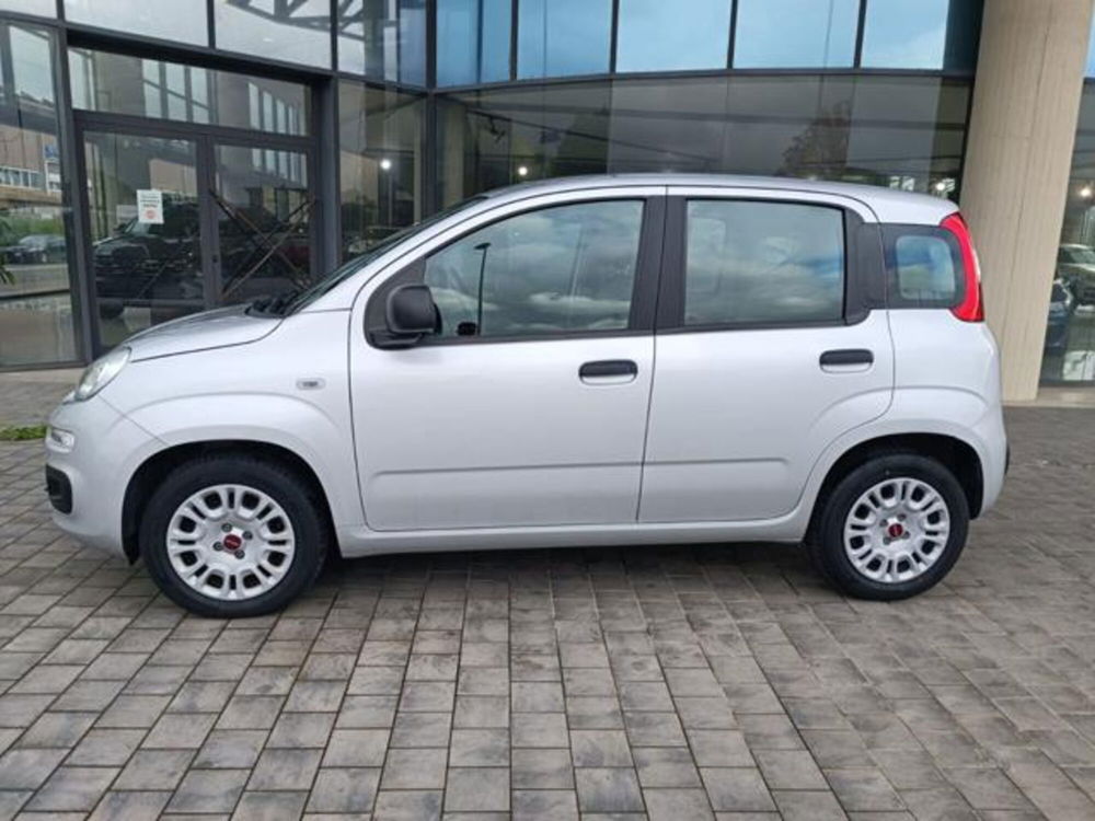 Fiat Panda usata a Pisa (8)