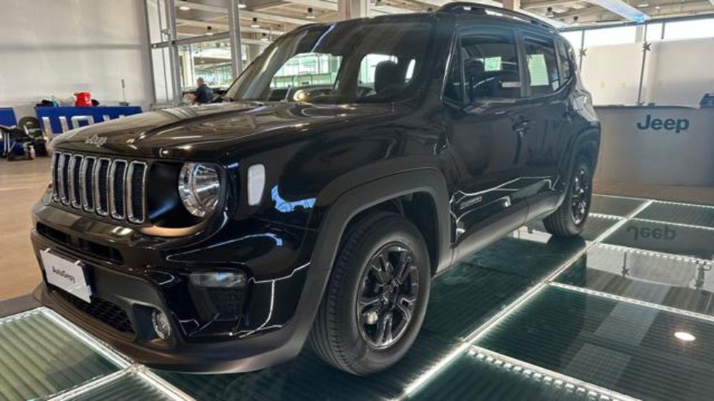 Jeep Renegade usata a Reggio Emilia (3)